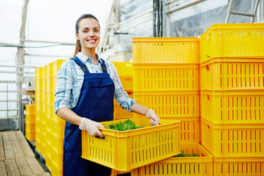 Similar image 13224490