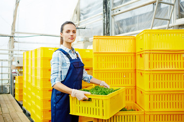 Similar image 13224491