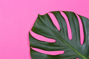 Similar image 13226689