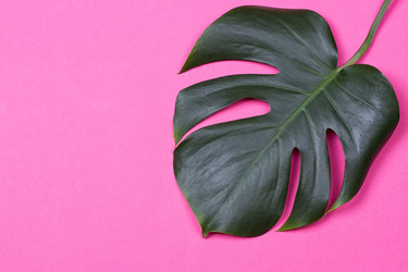 Similar image 13226706