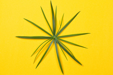 Similar image 13226835