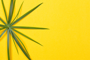 Similar image 13226330