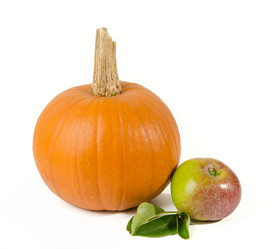 Similar image 13226024