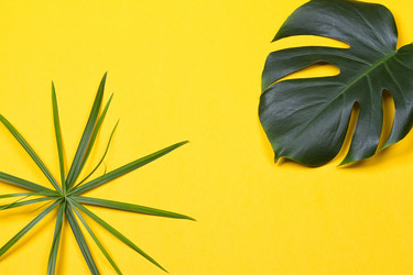 Similar image 13226711