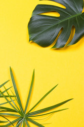 Similar image 13226723