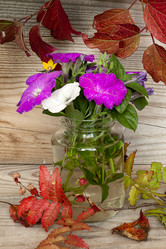 Similar image 13225317