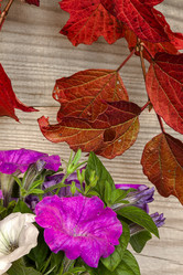 Similar image 13225306