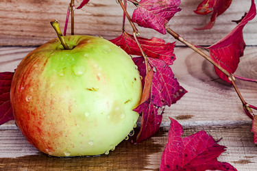 Similar image 13225309