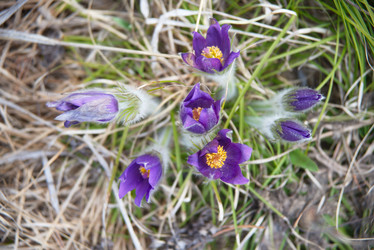 Similar image 13241421