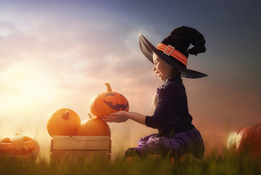 Similar image 13225258