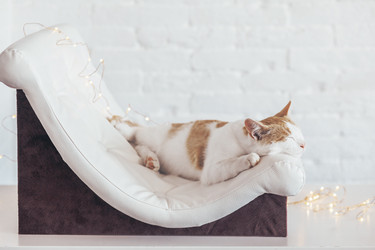 Similar image 13226153