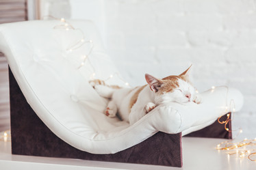 Similar image 13226155