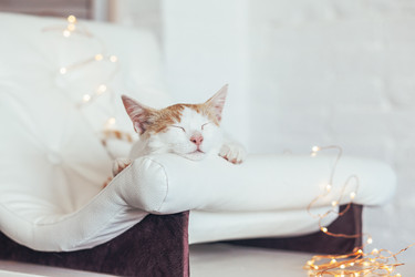 Similar image 13226167