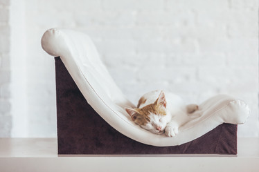 Similar image 13226178