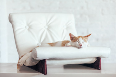 Similar image 13226180