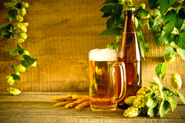 Similar image 13230246