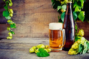 Similar image 13230254