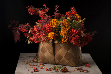 Similar image 13241250