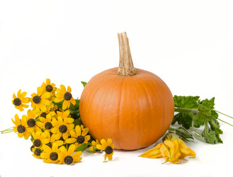 Similar image 13226041