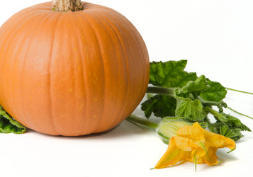 Similar image 13226046