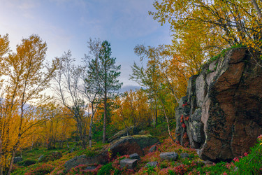 Similar image 13232232