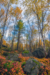 Similar image 13233338