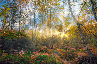 Similar image 13233441