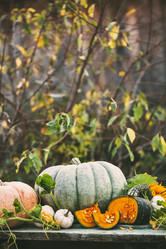 Similar image 13240671