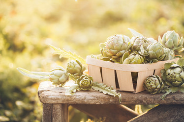 Similar image 13240678