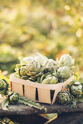 Similar image 13240727