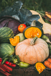 Similar image 13240680