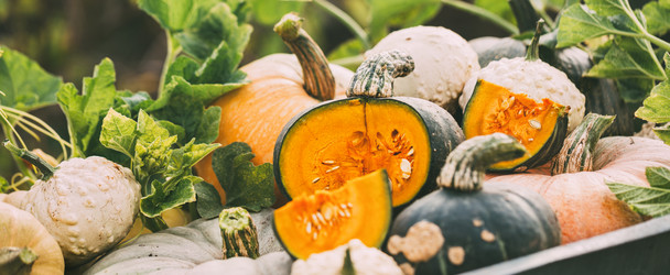 Similar image 13240689