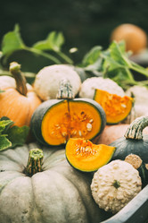 Similar image 13240703