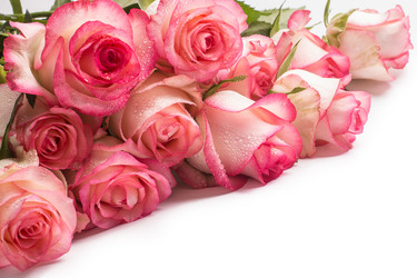 Similar image 13228342