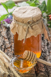 Similar image 13228348