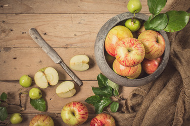 Similar image 13228295