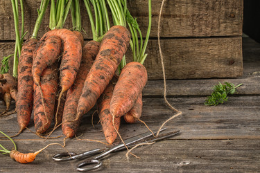 Similar image 13228300