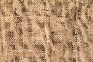 Similar image 13228306