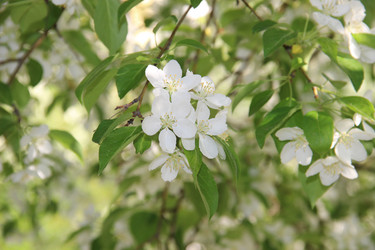 Similar image 13228223