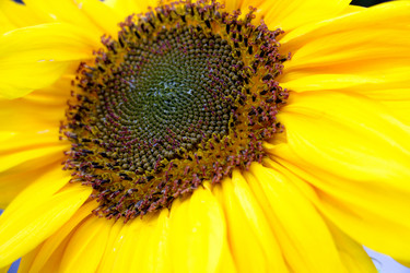 Similar image 13233703