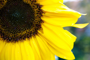 Similar image 13233724