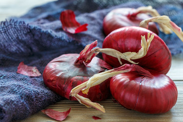 Similar image 13230170