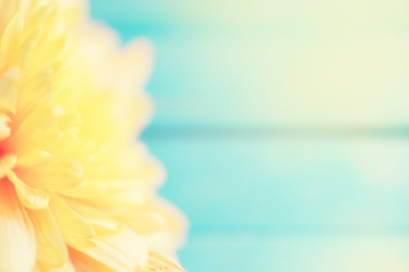 Similar image 13230966