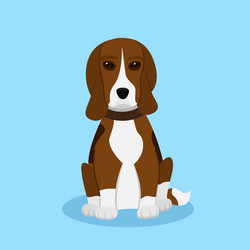 Similar image 13236241