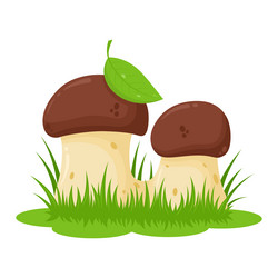 Similar image 13236534