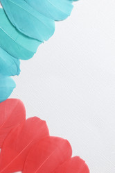 Similar image 13240988