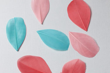 Similar image 13240995