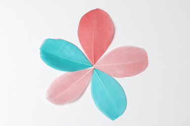 Similar image 13240998