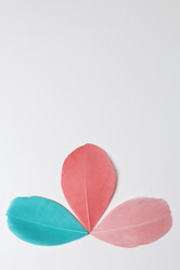 Similar image 13241015