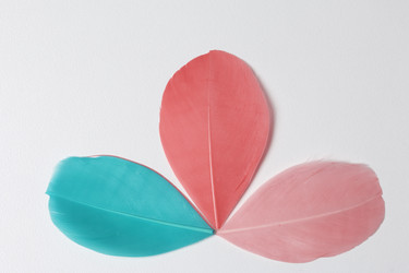 Similar image 13241017